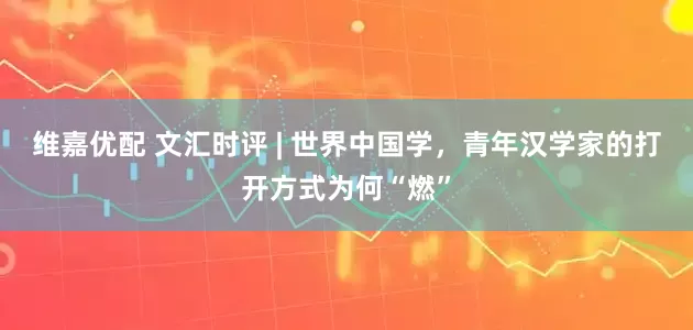 维嘉优配 文汇时评 | 世界中国学，青年汉学家的打开方式为何“燃”